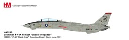 Bild von F-14A Tomcat "Queen of Spades" 162689, VF-41 Black Aces, Operation Desert Storm June 1991. Metallmodell 1:72 Hobby Master HA5230. VORANKÜNDIGUNG, LIEFERBAR JUNI